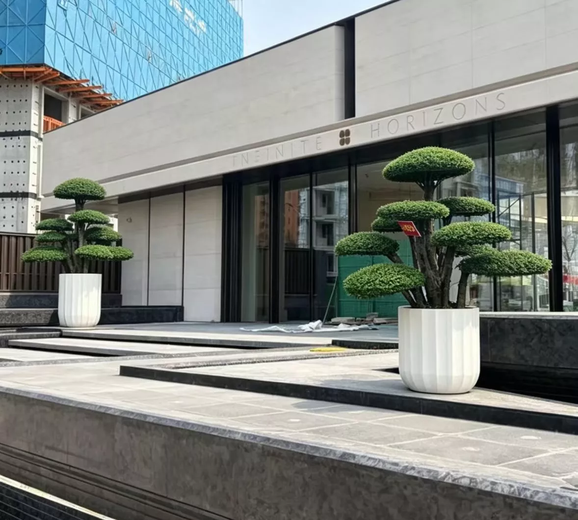 工程造型树 对节白蜡造型树应用案例实拍